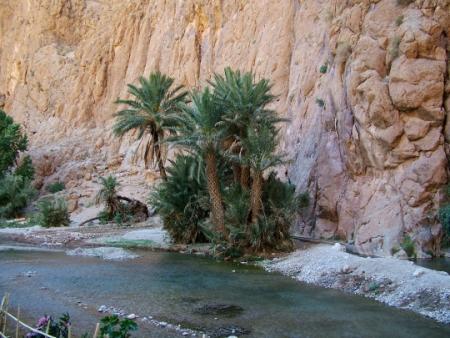 zagora 1